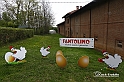 MesserTulipano_393