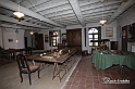 MesserTulipano_489