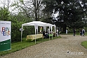MesserTulipano_530