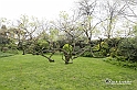 MesserTulipano_538