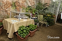 MesserTulipano_542