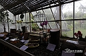 MesserTulipano_544