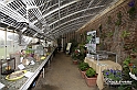 MesserTulipano_546