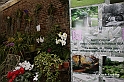 MesserTulipano_549