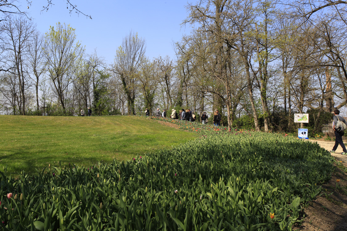 _MG_1620.jpg