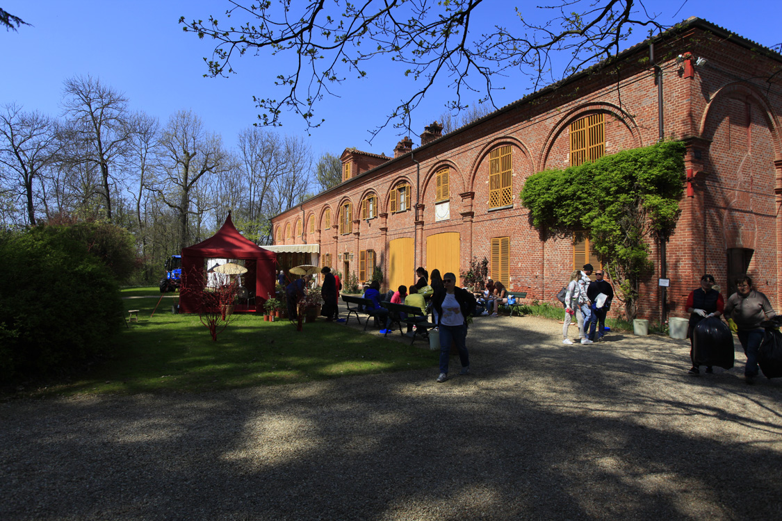 _MG_1649.jpg