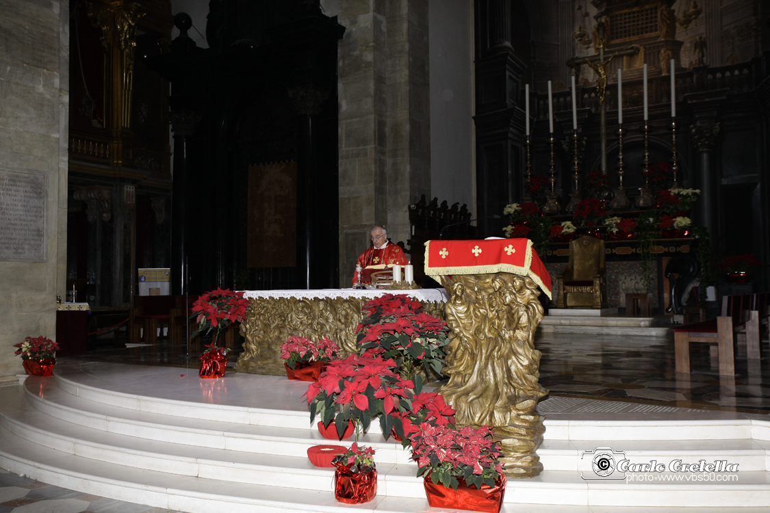 _MG_6440.jpg