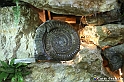 0C2A2284