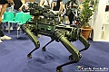 0C2A2446