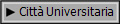 Citt Universitaria