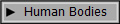 Human Bodies