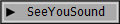 SeeYouSound