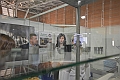 MAS_6362