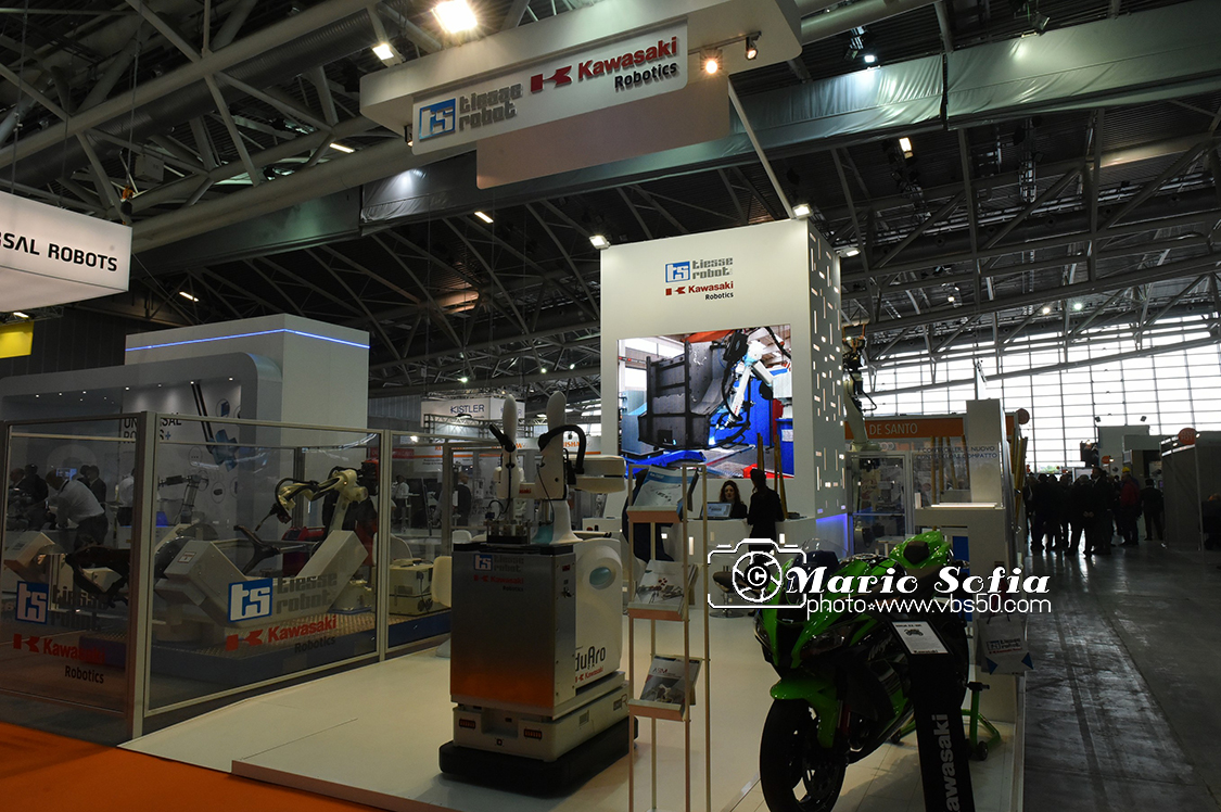 MAS_0781.jpg