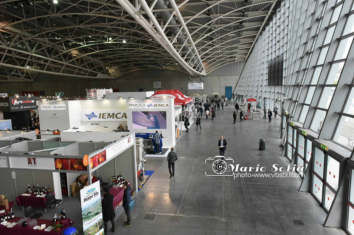 MAS_0803.jpg