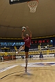 MAS_3277