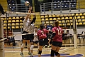 MAS_3381