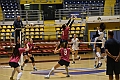 MAS_3460