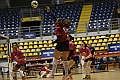 MAS_3677