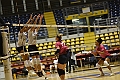MAS_3833