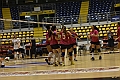 MAS_3913