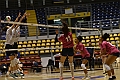 MAS_3925