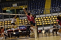 MAS_3930