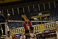 MAS_3951