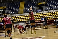 MAS_3953