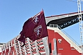 MAS_7665