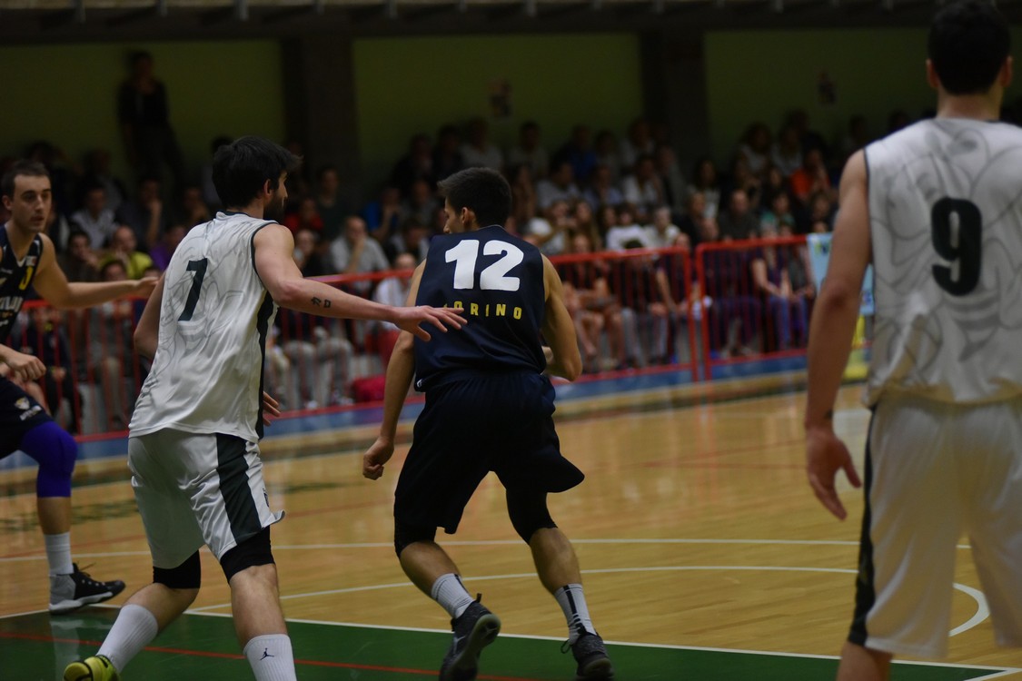 MAS_8435FotoMarioS.jpg
