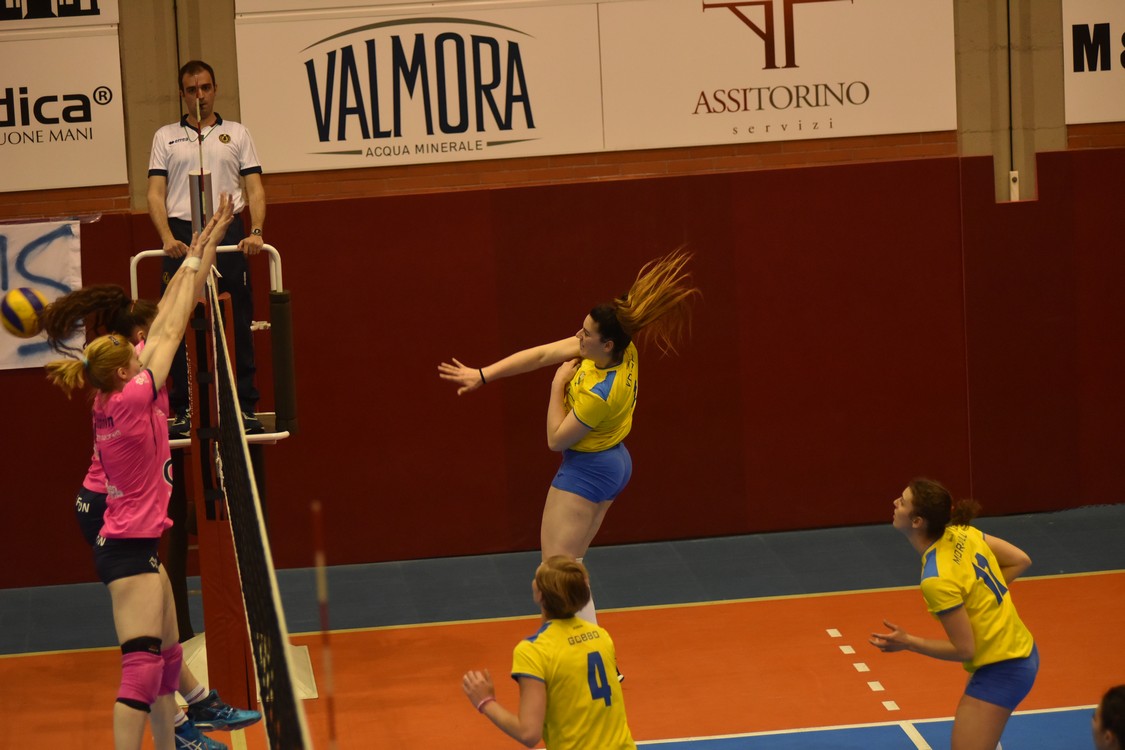 MAS_6739.jpg