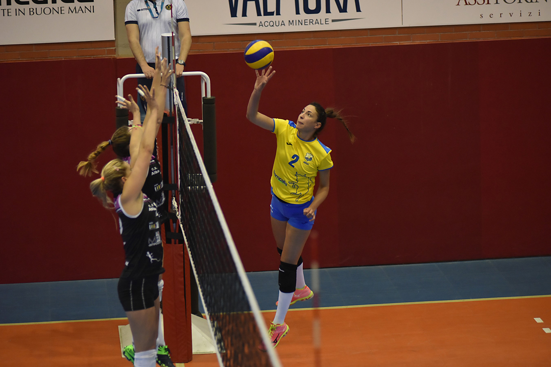MAS_3669.jpg
