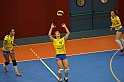 MAS_3651