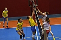 MAS_6950