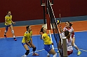 MAS_6951