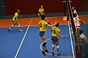 MAS_6987