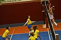 MAS_7060