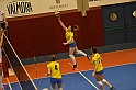 MAS_7274