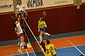 MAS_7333