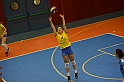 MAS_7379