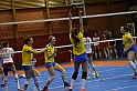 MAS_7427