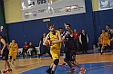 MAS_1781