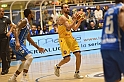 MAS_2586