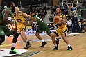 MAS_7376