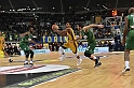 MAS_7380