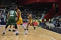 MAS_7392
