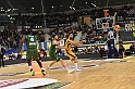 MAS_7534