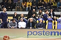 MAS_7586