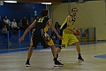 MAS_5233
